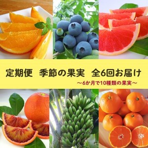 【定期便】定期便全6回 農園採れたて『季節の果実』をお届け