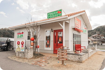 フルーツトマト糖度10度　1.2kg ※2026年1月上旬～4月下旬頃に順次発送予定◆