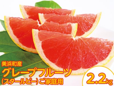 美浜町産グレープフルーツ（スタールビー）ご家庭用　6-8玉（約2.2kg） ※2025年5月上旬〜7月上旬頃に順次発送予定 ※着日指定不可◇