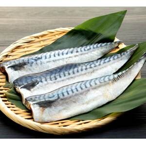 訳あり 塩さばフィレ 3枚×4袋(約1.8kg)冷凍便にてお届け!おかずにぴったり!(武豊町)【配送不可地域：離島】【1599570】