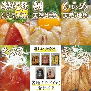 特製出汁醤油で漬け込んだ漬け丼5種セット5食(各90g)【配送不可地域：離島】【1678667】