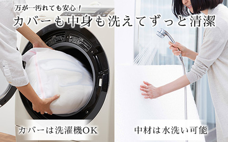 エアウィーヴ キャリークッションmini | airweave おすすめ エアウィーブ air weave 洗える 洗濯可能 蒸れにくい クッション 座布団 ざぶとん 椅子