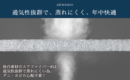 エアウィーヴ キャリークッションmini | airweave おすすめ エアウィーブ air weave 洗える 洗濯可能 蒸れにくい クッション 座布団 ざぶとん 椅子