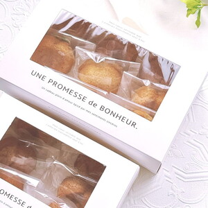 焦がしバターのりんごフィナンシェ9個入