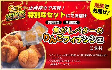 【期間限定 幸田町大感謝祭】【3営業日以内に発送】エアウィーヴ 洗えるマットレス スマート01 (シングル サイズ) 