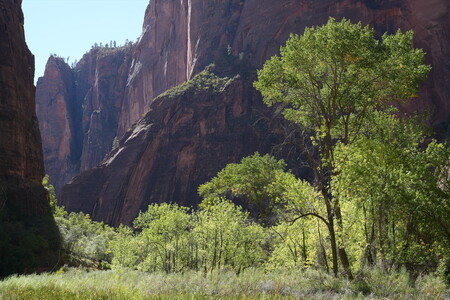 デジタル一眼カメラα[Eマウント]用レンズ　FE 50mm F1.4 GM | ソニー カメラ レンズ 一眼 短焦点 交換レンズ