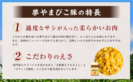 幸田町産「夢やまびこ豚」コロナ対策特別支援セット 4種類 (ロース・バラ・ヒレ・小間切れ)