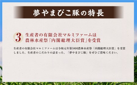幸田町産「夢やまびこ豚」コロナ対策特別支援セット 4種類 (ロース・バラ・ヒレ・小間切れ)