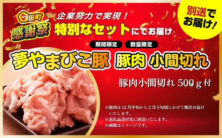 【期間限定 幸田町大感謝祭】エアウィーヴ S01 ダブル エアウィーヴ