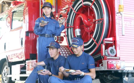 幸田 消防カレー 200g×12個入り レトルトカレー カレー 小麦粉不使用