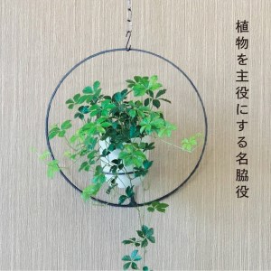 GRAVIRoN Hang Plants シリーズ Round 黒皮鉄（プランツハンガー）