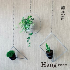 GRAVIRoN Hang Plants シリーズ Triangle/Diamond/Round セット 酸洗鉄（プランツハンガー） 観葉植物 プランター 10,220円