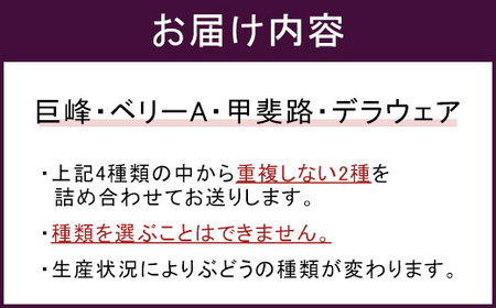 幸田町産ぶどう使用100％ジュース 2種詰め合わせ （720ml × 2本） ｜ 無添加 無糖 無加水 巨峰 ベリーA 甲斐路 デラウェア 送料無料