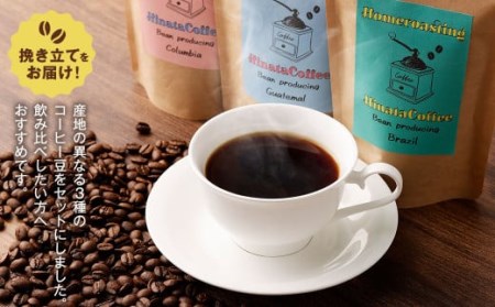 コーヒー豆(ブラジル、コロンビア、グアテマラ) 100g×3個セット 計300g 珈琲 コーヒー
