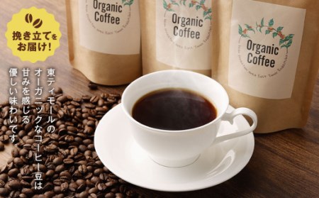 オーガニック・コーヒー豆 100g×3個セット 珈琲 コーヒー