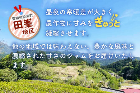 田峯手作りジャム 5個セット ジャム -021