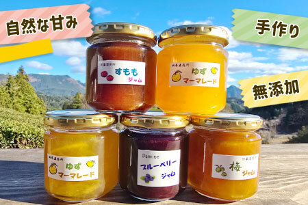 田峯手作りジャム 5個セット ジャム -021