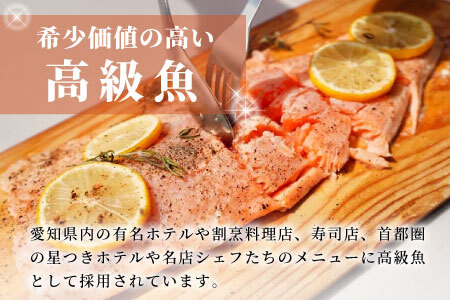国産 生食可 絹姫サーモン冷凍フィーレ カルパッチョ 刺身 魚 魚介類 スペシャルトラウト トラウトサーモン -033