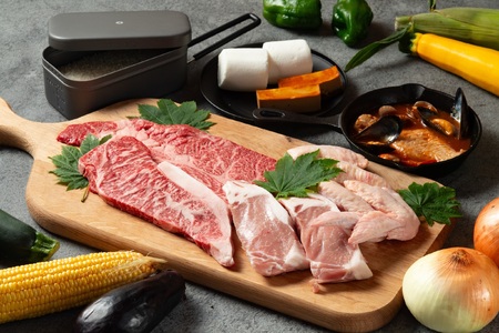 グランピング  SHITARA VILLAGE宿泊ギフト券(10,000円分) 全室プライベートサウナ付き★サウナ 宿泊券 グランピング キャンプ 旅行 バーベキュー 設楽ビレッジ シタラビレッジ -042