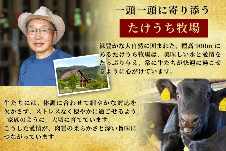  国産牛 段戸山高原牛 切り落とし 1kg （200ｇ×5）酒粕育ち 幻の牛 牛肉 牛 肉じゃが 蓬莱泉 牛丼 -070