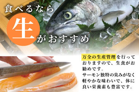 国産サーモン 生食可 無添加 絹姫サーモン カット 200g（100g×2) スペシャルトラウトサーモン 冷凍フィーレトラウトサーモン 鮭 魚 刺身 お刺身 ご当地 天然 産地直送 川育ち 味付けなし 魚介 魚介類 -120