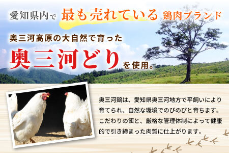 奥三河どり使用! 田口塩鶏 国産 若鶏味付け肉 2種セット 1kg(もも肉250g×2・むね肉250g×2)もも肉 むね肉 塩ダレ 味付け肉 鶏肉 鶏 肉 キャンプ バーベキュー 味付け肉 大容量 手軽 焼くだけ 地鶏 焼肉 焼き鳥 -170