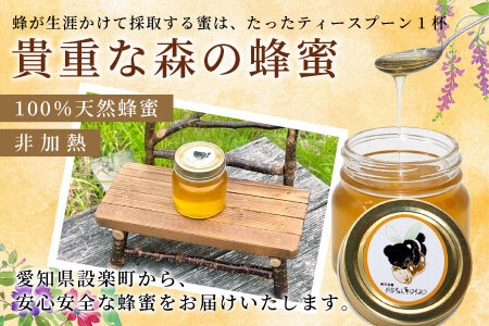 国産純粋 百花蜂蜜 大瓶 320g かなちゃんはちみつ 非加熱 ハチミツ はちみつ 蜂蜜 無添加 国産 天然 愛知県産 -330