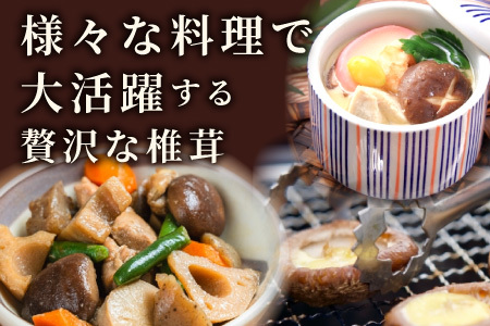 無農薬 原木栽培 肉厚 とよくに清流 ほししいたけ 40g しいたけ 椎茸 シイタケ 原木椎茸 野菜 きのこ 無農薬栽培 干ししいたけ 乾燥しいたけ 干し椎茸 バーベキュー お試し 煮物 -347