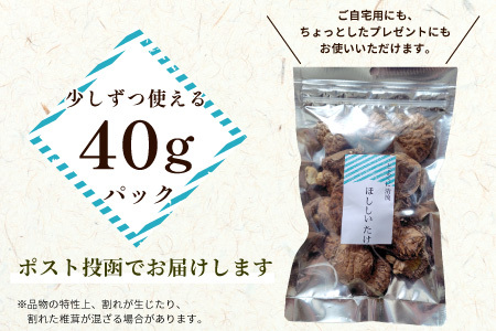 無農薬 原木栽培 肉厚 とよくに清流 ほししいたけ 40g しいたけ 椎茸 シイタケ 原木椎茸 野菜 きのこ 無農薬栽培 干ししいたけ 乾燥しいたけ 干し椎茸 バーベキュー お試し 煮物 -347