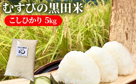 むすびの黒田米 こしひかり 5キロ [ 米 お米 5kg コシヒカリ お弁当 おむすび 冷めても美味しい ]