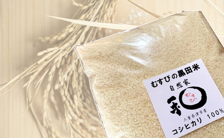 むすびの黒田米 こしひかり 5キロ [ 米 お米 5kg コシヒカリ お弁当 おむすび 冷めても美味しい ]