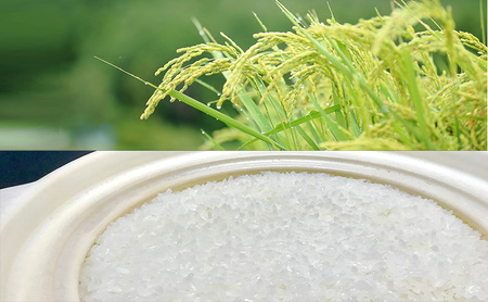 むすびの黒田米 こしひかり 5キロ [ 米 お米 5kg コシヒカリ お弁当 おむすび 冷めても美味しい ]