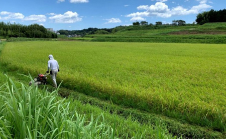 むすびの黒田米 こしひかり 5キロ [ 米 お米 5kg コシヒカリ お弁当 おむすび 冷めても美味しい ]
