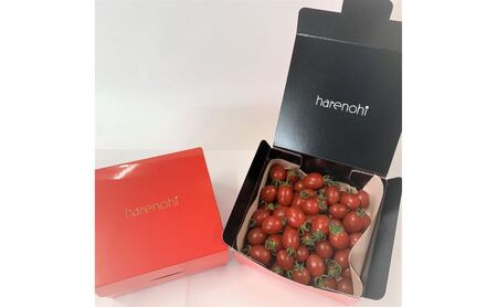 ハレノヒトマト プレミアムバラ1kg [ 糖度11度以上 500g×2個 ミニトマト とまと 野菜 フルーツトマト 化粧箱 ] 