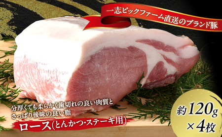 一志ピックファーム直送 一志SPポーク とんかつ・ステーキ用4枚セット [ 豚肉 ロース約120g×4枚 国産 真空パック 冷凍 ] お肉 