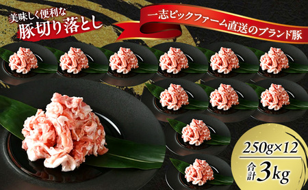 一志ピックファーム直送 一志SPポーク 豚切り落とし 250gずつ小分け 計3kg [ 豚肉 250g×12P 計3kg 国産 真空パック 冷凍 ] お肉 豚肉炒め物 
