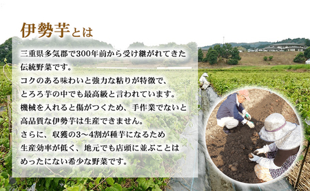 伊勢芋かりんとう 5種 70g×18袋セット [ 食べ比べ 個包装 はちみつ 黒蜜 きなこ キャラメル みたらし 菓子 スイーツ 手土産 お取り寄せ ] 和菓子 お菓子 