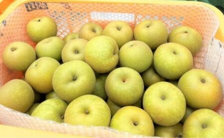 【先行予約】ひさい梨 幸水 5kg【果樹 秀専】 [ 梨 ナシ 果物 フルーツ 産地直送 ] 