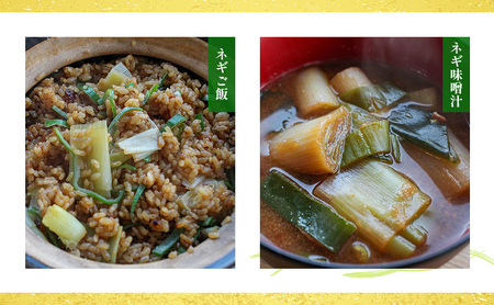 あま蜜ねぎ・伊勢うどんセット【野菜 ねぎ ネギ 長ネギ うどん】 麺類