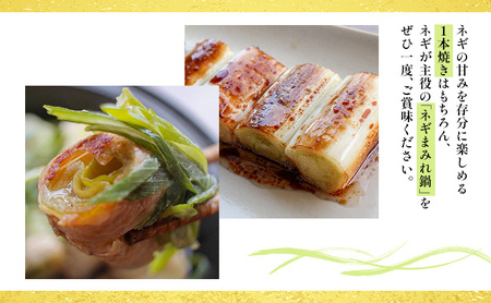 あま蜜ねぎ・伊勢うどんセット【野菜 ねぎ ネギ 長ネギ うどん】 麺類