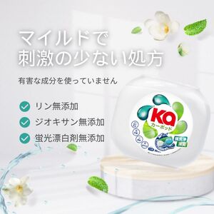 カーポッド12粒入り×10 ボール型 洗濯洗剤 三重県津市