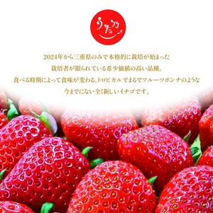 あまつおとめ イチゴ「うた乃」三重県限定品種 計500g (250g×2パック