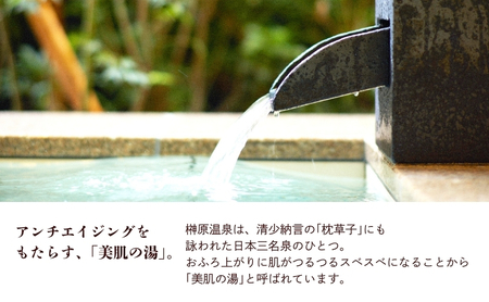 ラムちゃんパーク 榊原温泉 湯の瀬 日帰り 温泉 回数券 （一般/11枚