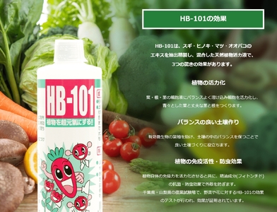 野菜作りや園芸に。プロご用達「HB-101」 1L 1本 