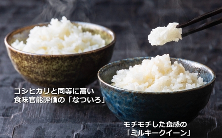 三重県がつくった新時代のお米「なついろ」10kgと コシヒカリ を更に改良して生まれた良質米の女王「ミルキークイーン」10kg  計20kgの食べ比べセット | 三重県四日市市 | ふるさと納税サイト「ふるなび」