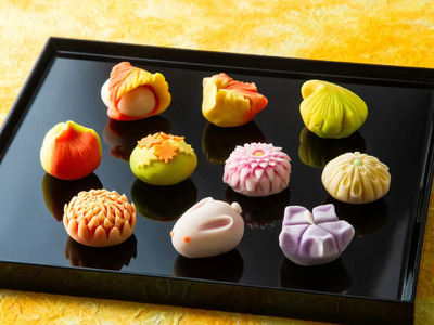 ＜定期便＞「夢菓子工房ことよ」季節の練り切り菓子 10個 【春篇・夏篇・秋篇・冬篇】【スイーツ】