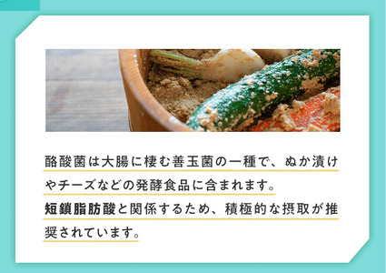 TVで話題！ グアーガム分解物 生きて腸内まで届く 酪酸菌 水溶性食物繊維 サンファイバープラス【スティック】6ｇ×30包【2箱セット】【発酵性食物繊維 食物繊維 シンバイオティクス 医療 介護 安心 無味無臭 グアーガム分解 四日市市】