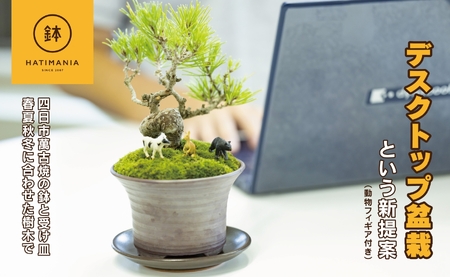 「デスクトップ盆栽」という新提案を四日市から（ミニチュアあり）