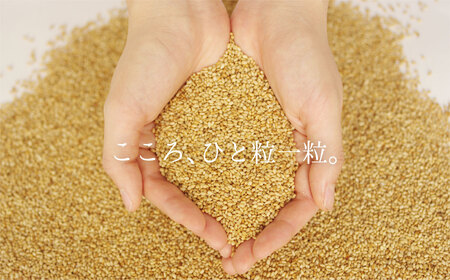 九鬼産業 太白純正胡麻油1650ｇ×1本 創業明治19年 ごま油の老舗「九鬼」 いつもの味を上質に変えるごま油。老舗 ゴマ油 胡麻油 ごま油 ドレッシング 調味料 料理 お祝い 贈答品 贈り物 ギフト ミシュラン 2つ星の割烹でも使用 四日市 四日市市 四日市市ふるさと納税 