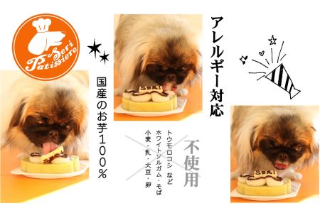 犬用ケーキ・アレルギーフリーDecoパウ・獣医師監修